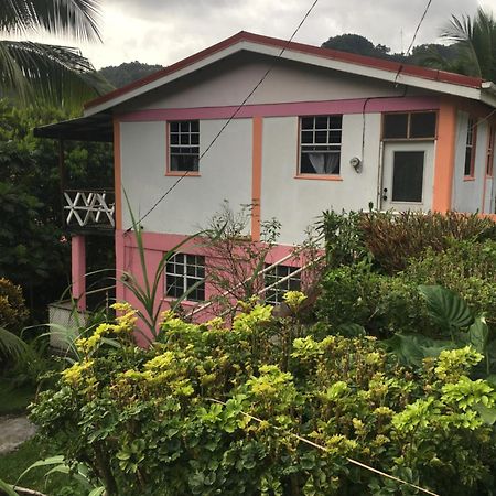 Anthurium Apartment Roseau Luaran gambar