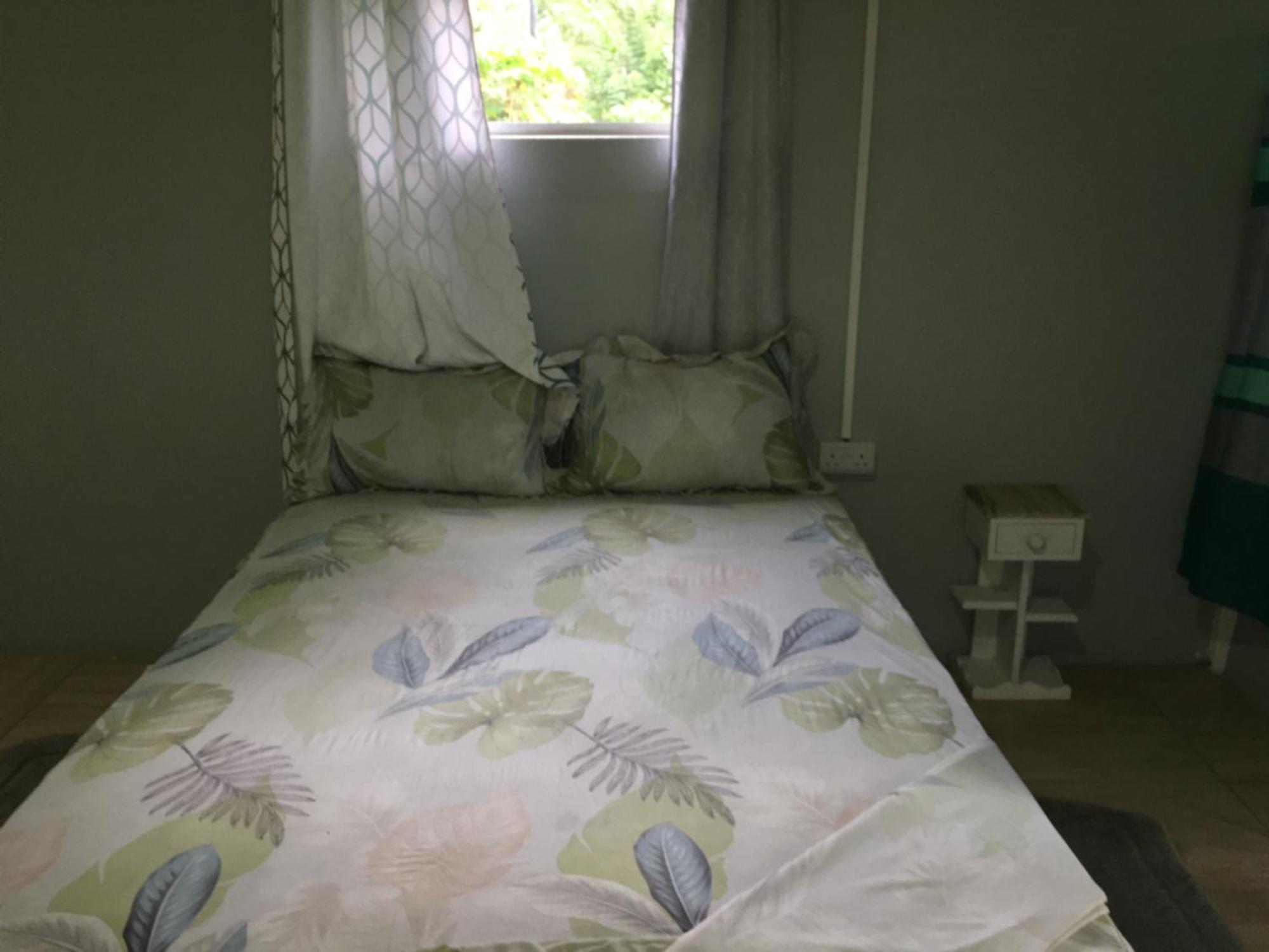 Anthurium Apartment Roseau Luaran gambar
