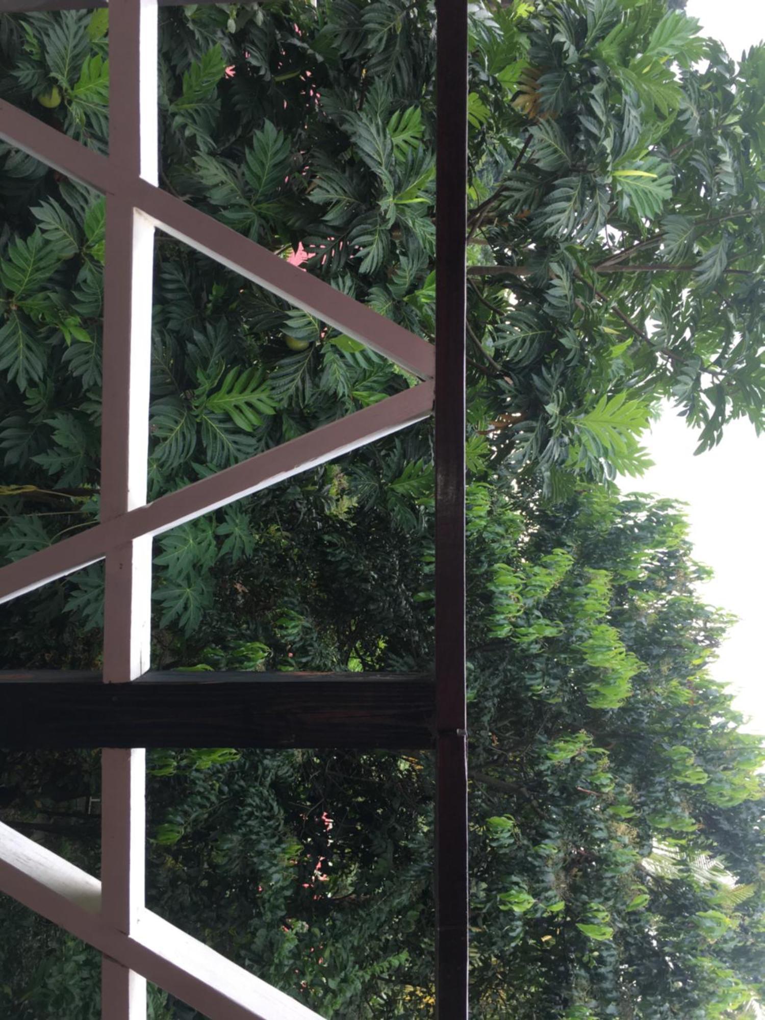 Anthurium Apartment Roseau Luaran gambar