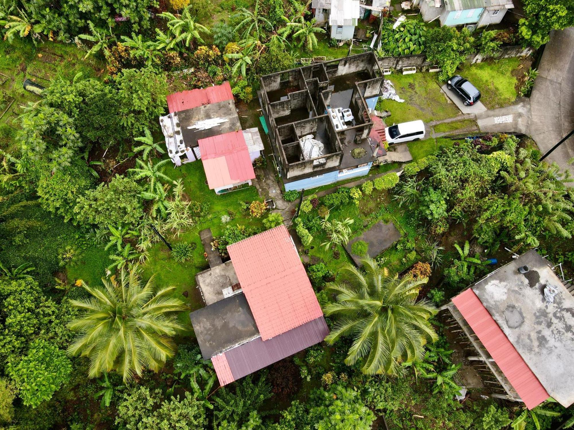 Anthurium Apartment Roseau Luaran gambar