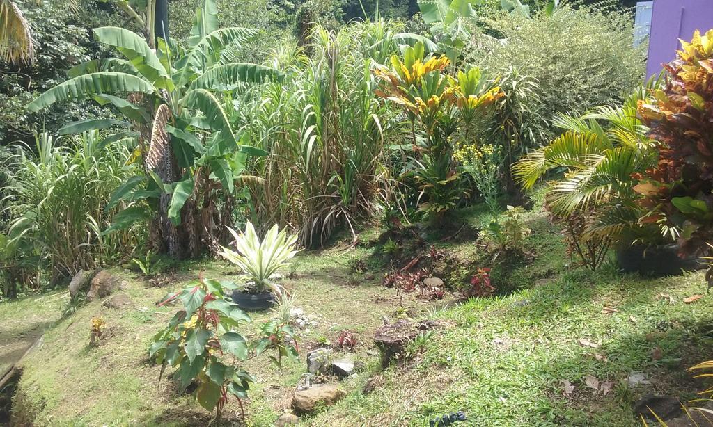 Anthurium Apartment Roseau Luaran gambar